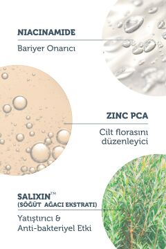 The Purest Solutions Gözenek Siyah Nokta ve Akne Giderici Bakım Serumu 30 ml (Niacinamide 5% + Zinc PCA 1%)