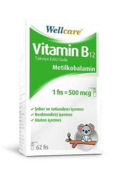 Wellcare Vitamin B12 500 mcg Sprey 5 ml
