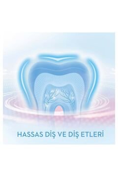 Oral-B Professional Gumcare 1 Şarjlı Diş Fırçası