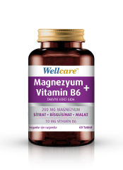 Wellcare Magnezyum + Vitamin B6 60 Tablet