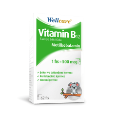 Wellcare Vitamin B12 500 mcg 62 Puf