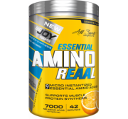Bigjoy Sports Essential Amino Reaal 420 Gr