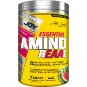 Bigjoy Sports Essential Amino Reaal 420 Gr