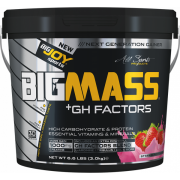 Bigjoy Sports BigMass GH Factors 3000 Gr