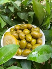 Kırma Yeşil Zeytin