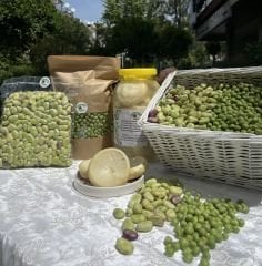 3’lü Ege Paketi