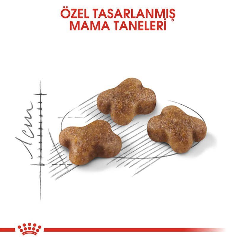 Royal Canin Kitten Yavru Kedi Maması 400 Gr