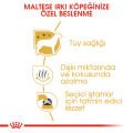 Royal Canin Maltese Terrier Yetişkin Köpek Maması 1,5kg