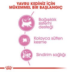 Royal Canin Mother Babycat Anne ve Yavru Kedi Maması 4 Kg