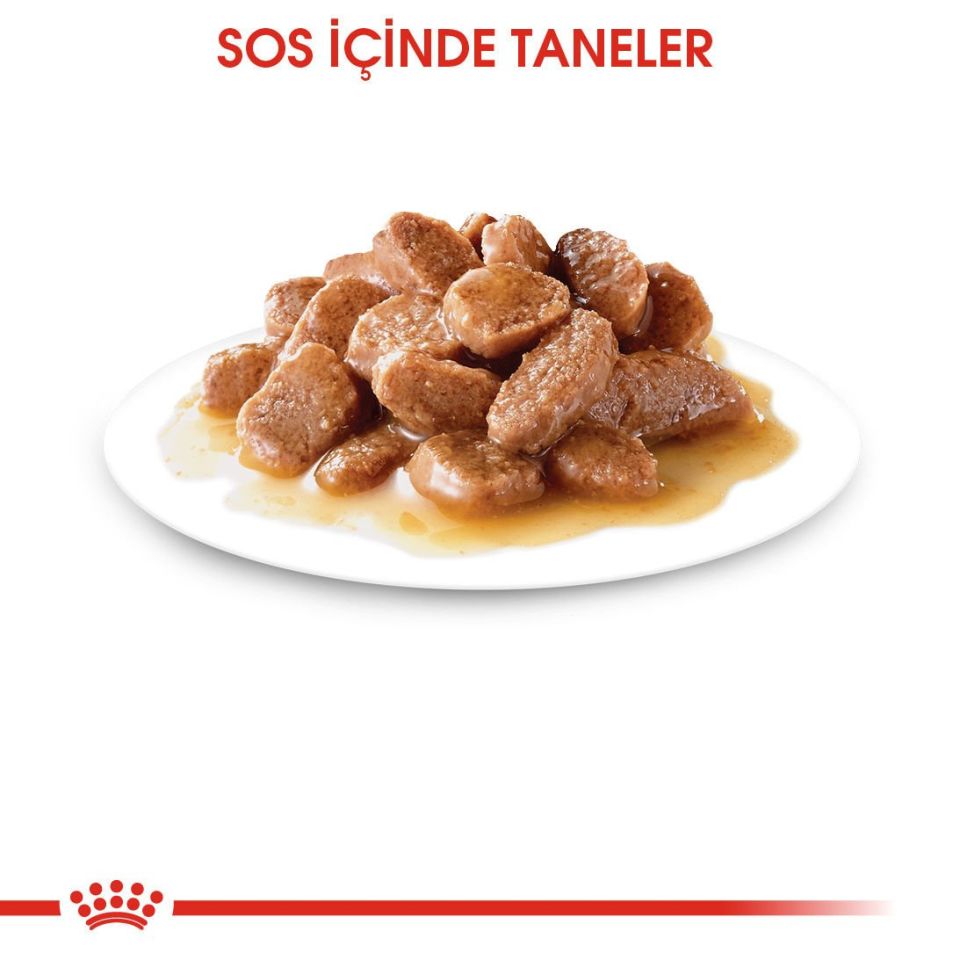 Royal Canin Intense Beauty In Gravy Kedi Konserve Maması 85 Gr