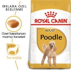 Royal Canin Poodle Yetişkin Köpek Maması 3 Kg