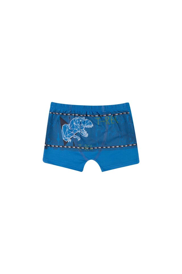 ERKEK COCUK CAMASIR - BOXER