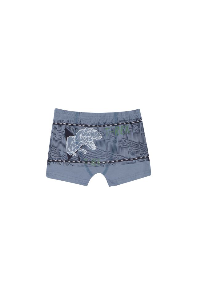 ERKEK COCUK CAMASIR - BOXER