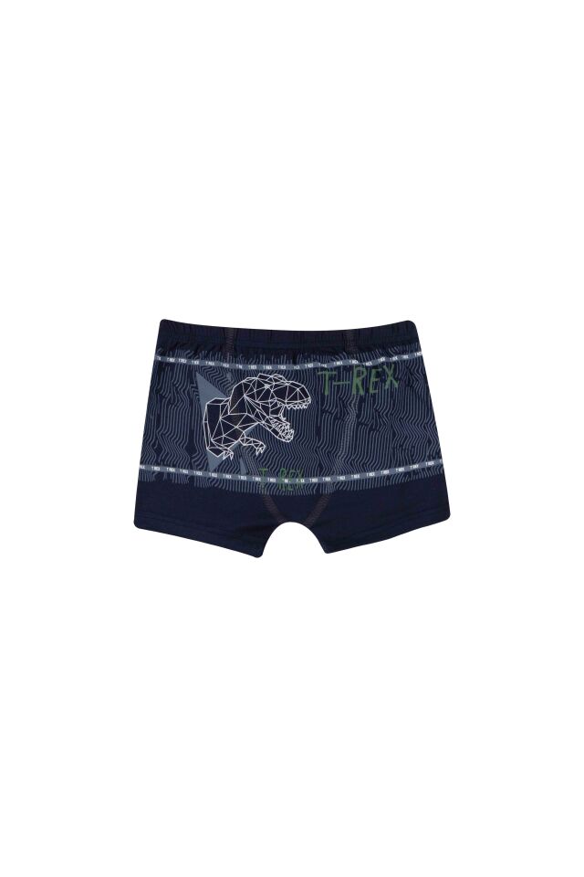 ERKEK COCUK CAMASIR - BOXER