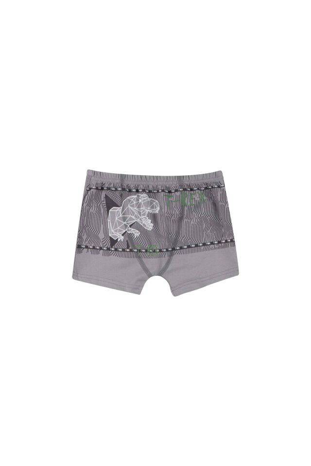 ERKEK COCUK CAMASIR - BOXER
