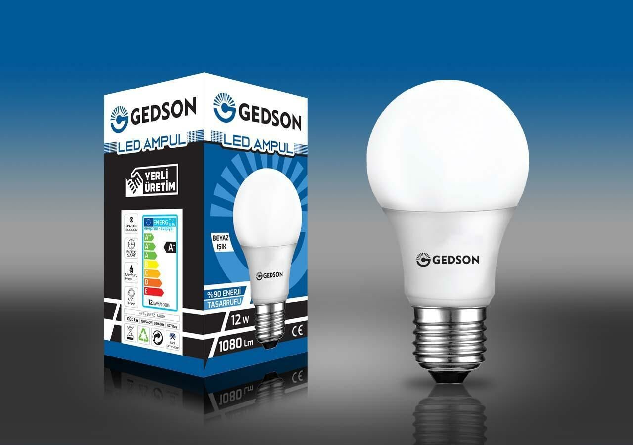 Gedson 12W Led Ampul*10x10=100