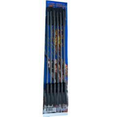 Ymn 10lu Plastik Şiş Set*100