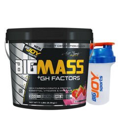 Bigjoy Sports Bigmass Mass Gainer Gh Factors 5000 Gr