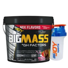 Bigjoy Sports Bigmass Mass Gainer Gh Factors 5000 Gr