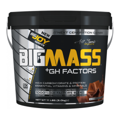 Bigjoy Sports Bigmass Mass Gainer Gh Factors 5000 Gr