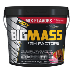 Bigjoy Sports Bigmass Mass Gainer Gh Factors 5000 Gr