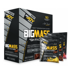 Bigjoy Sports Bigmass Go Mass Gainer Gh Factors 50 Paket