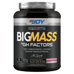 Bigjoy Sports Bigmass Mass Gainer Gh Factors 1500 Gr