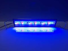 WM-Deniz Marine  Led Lamba 20 cm