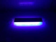 WM-Deniz Marine  Led Lamba 20 cm