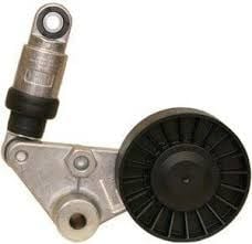 Espace 4 Velsatis Alternatör Gergi Rulmanı P9X 7701068752 - 7701055084