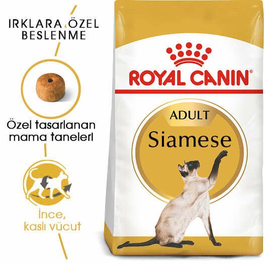 Royal Canin Siamese 38 2 kg Yetişkin Kuru Kedi Maması