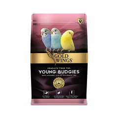 Gold Wings Premium Yavru Muhabbet Kuşu Yemi (1 kg)