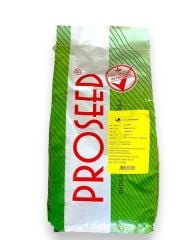 SKADİ F1 ISPANAK TOHUMU  5 KG