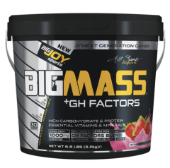 Bigjoy BIGMASS Gainer GH FACTORS ÇİLEK 3kg