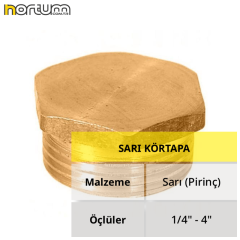 SARI KÖRTAPA