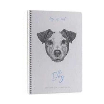 Gıpta Life Is Cool The Dog Spiralli Sert Kapak 120 Yaprak 17*24 Kareli Defter