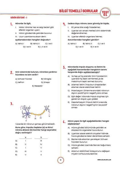 Sınav Yayınları 11. Sınıf Biyoloji Soru Bankası