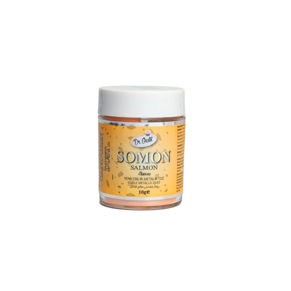 DR. GUSTO METALİK TOZ BOYA SOMON - 10