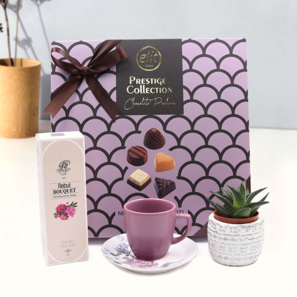 Elit Premium 204gr Çikolata & Rebul Bouquet Kolonya & Pembe Fincan & Canlı Sukulent Çiçek & Saksı Hediye Seti