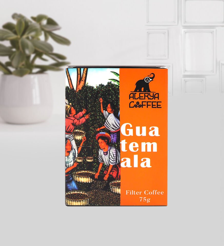 İnsan Ne İle Yaşar Kitap & Siyah French Press & Geometrik Detaylı Kupa & Alerya Guatemala Filtre Kahve & Bademli Kurabiye Hediye Seti