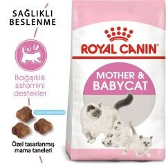 Royal Canin Babycat Yavru Kedi Maması 400Gr
