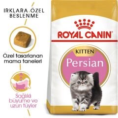 Royal Canin Kitten Persian Kedi Maması 2Kg