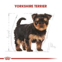 Royal Canin Yorkshire Terrier Yavru Köpek Maması 1.5Kg