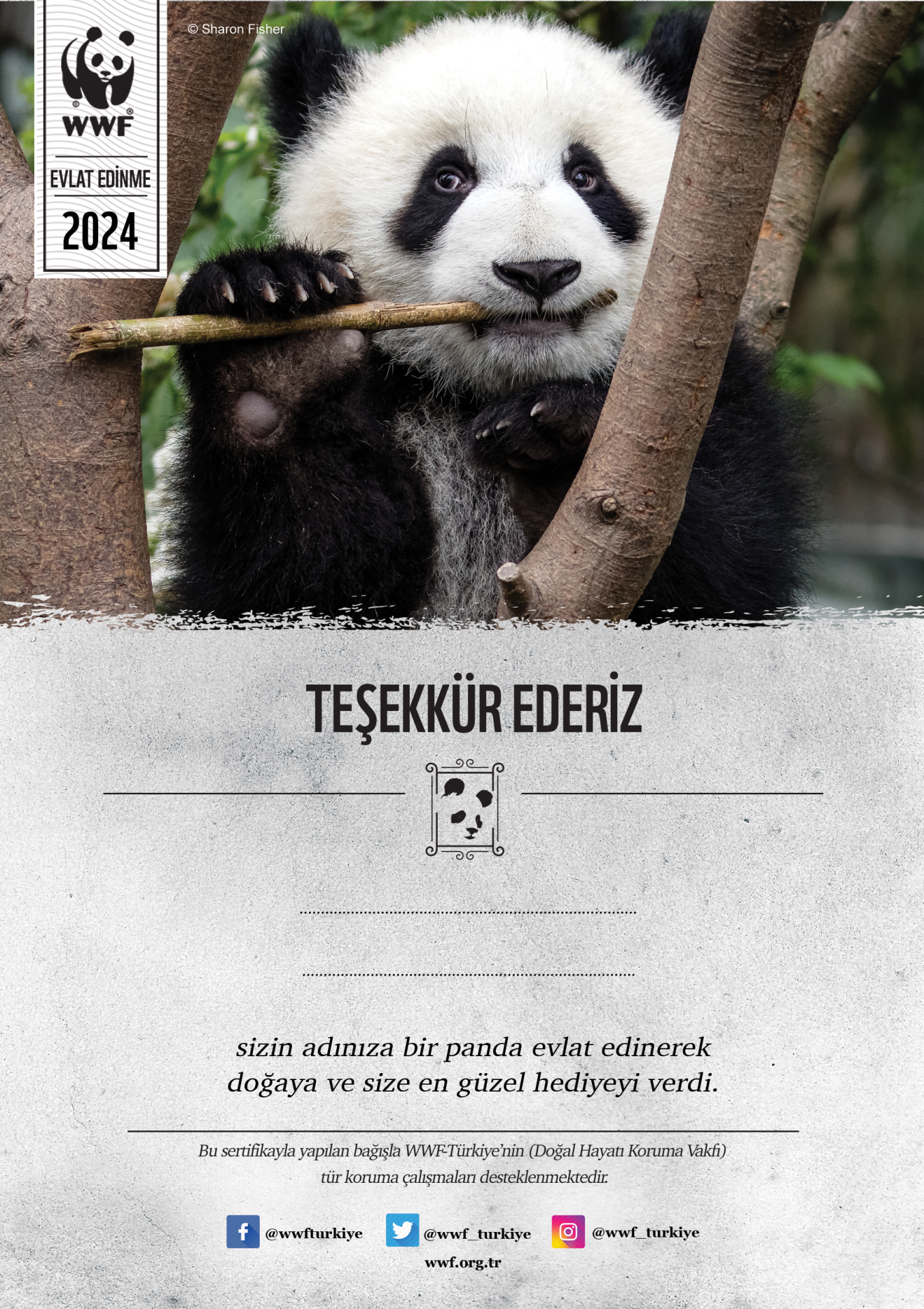 Panda E-Sertifika