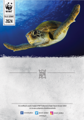 Deniz Kaplumbağası E-Sertifika