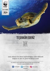Deniz Kaplumbağası Basılı Sertifika
