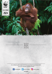 Orangutan Sertifika & Tohumlu Kartpostal Set