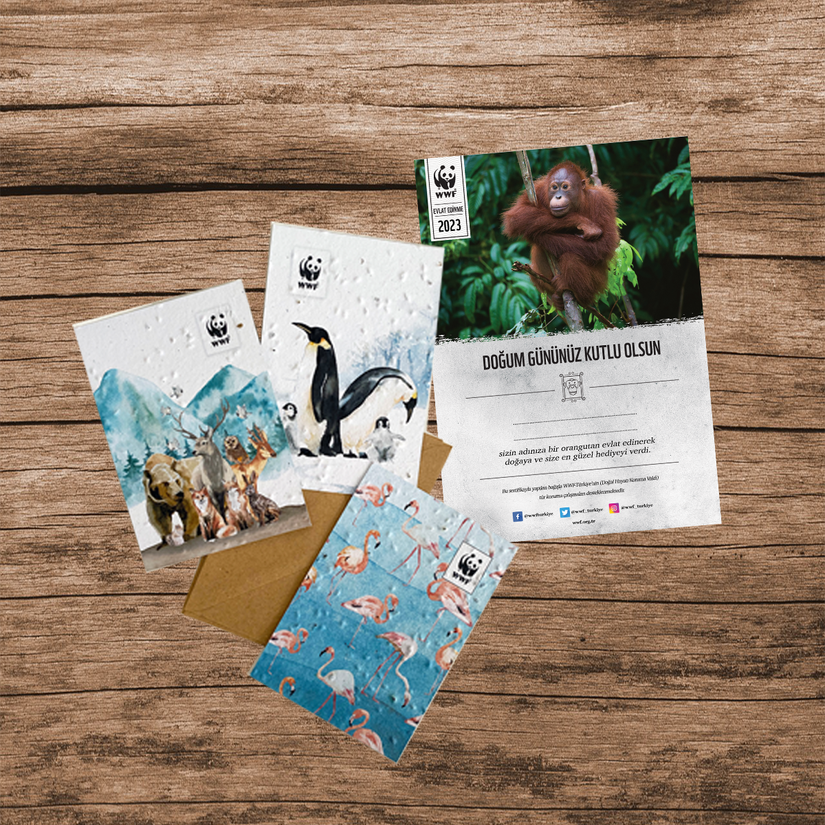 Orangutan Sertifika & Tohumlu Kartpostal Set