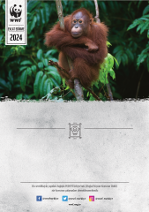 Orangutan Sertifika & Tohumlu Not Defteri Set