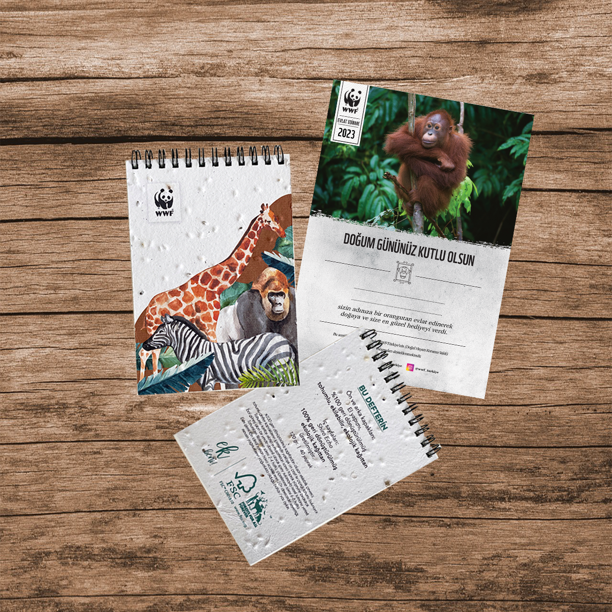 Orangutan Sertifika & Tohumlu Not Defteri Set